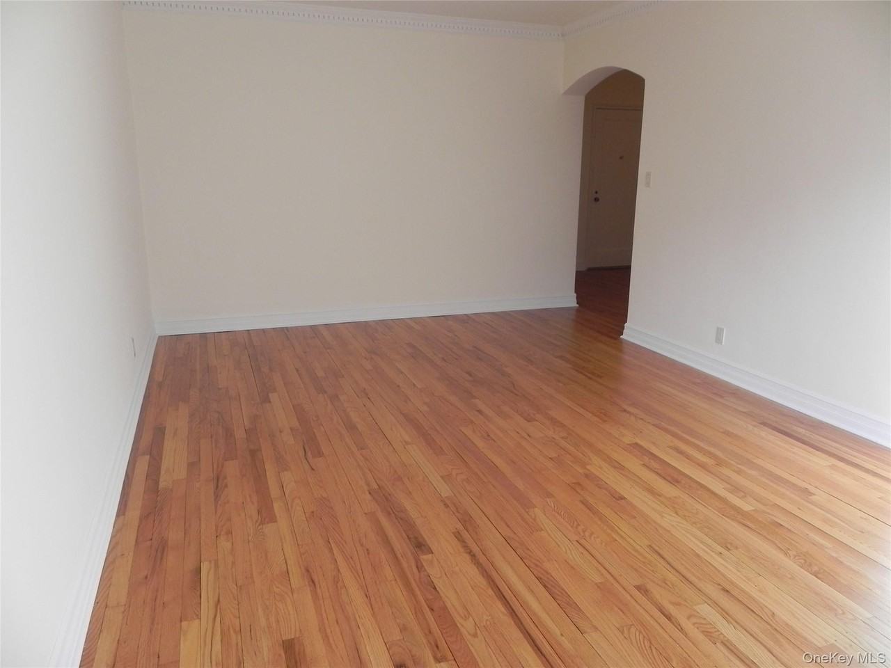 160 S Middle Neck Rd Apt 1n - Photo 6 of 15