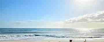 featured image of 4450 Highway A1a Apt 301