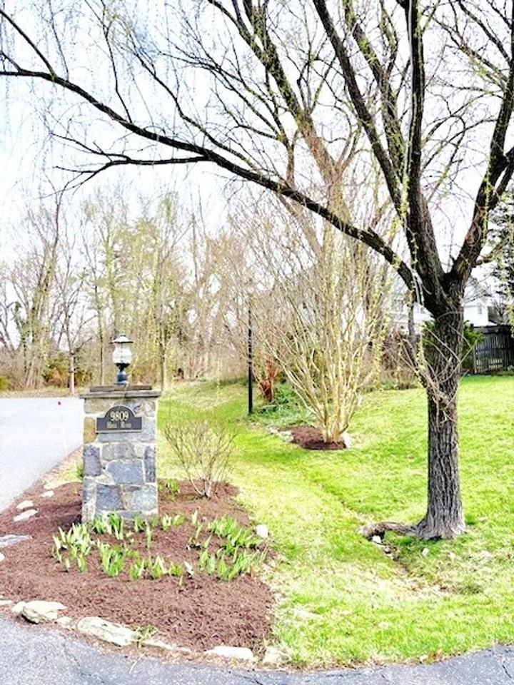 9809 Hall Rd - Photo 3 of 23