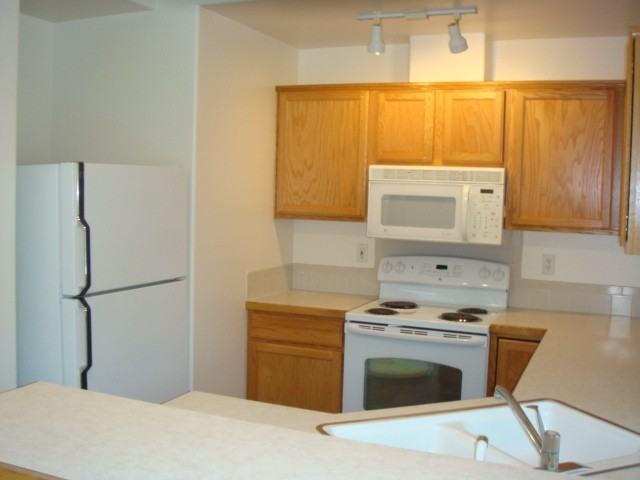 1029 N Maple Creek Ave - Photo 2 of 9