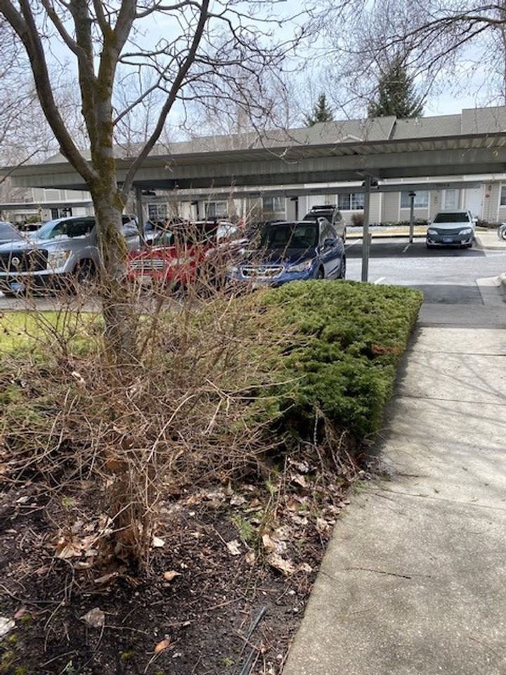 2802 Rockridge Ct #3 - Photo 2 of 24