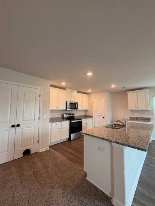 925 Turkey Berry Ln - Photo 6 of 33