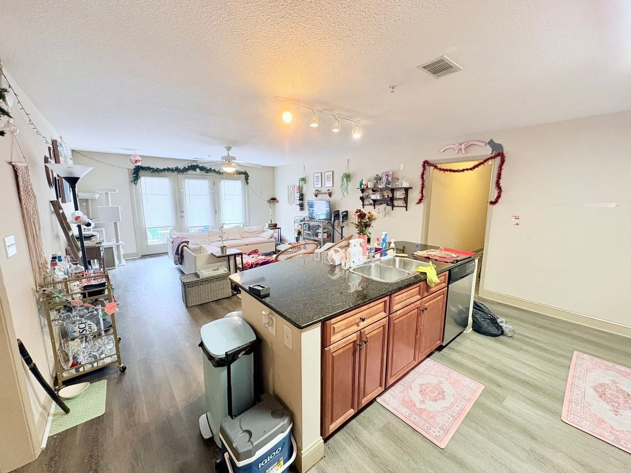 1621 Muscovy Way - Photo 4 of 22