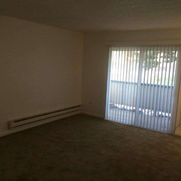 3948 Clear Acre Ln #257 - Photo 6 of 12