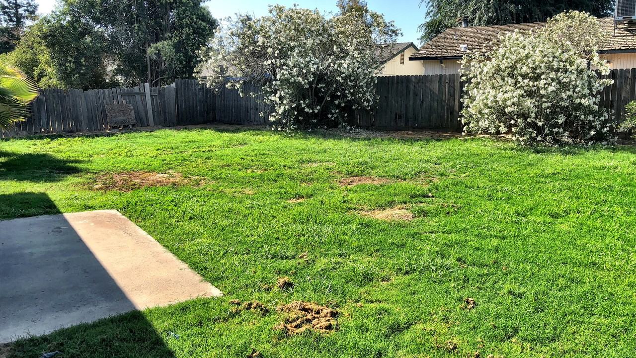 1715 E Mary Ave - Photo 2 of 19