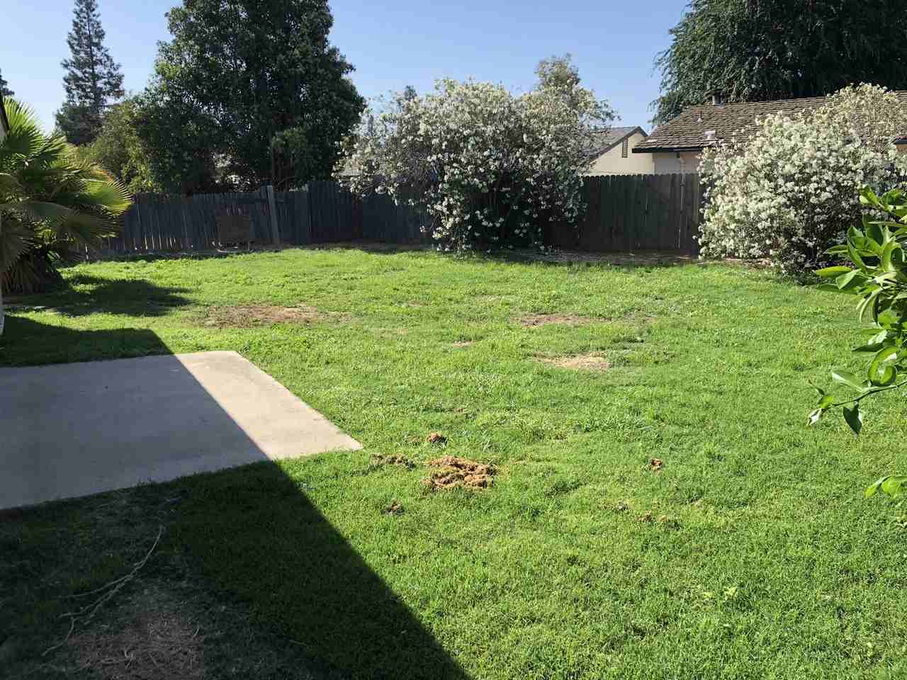 1715 E Mary Ave - Photo 3 of 19