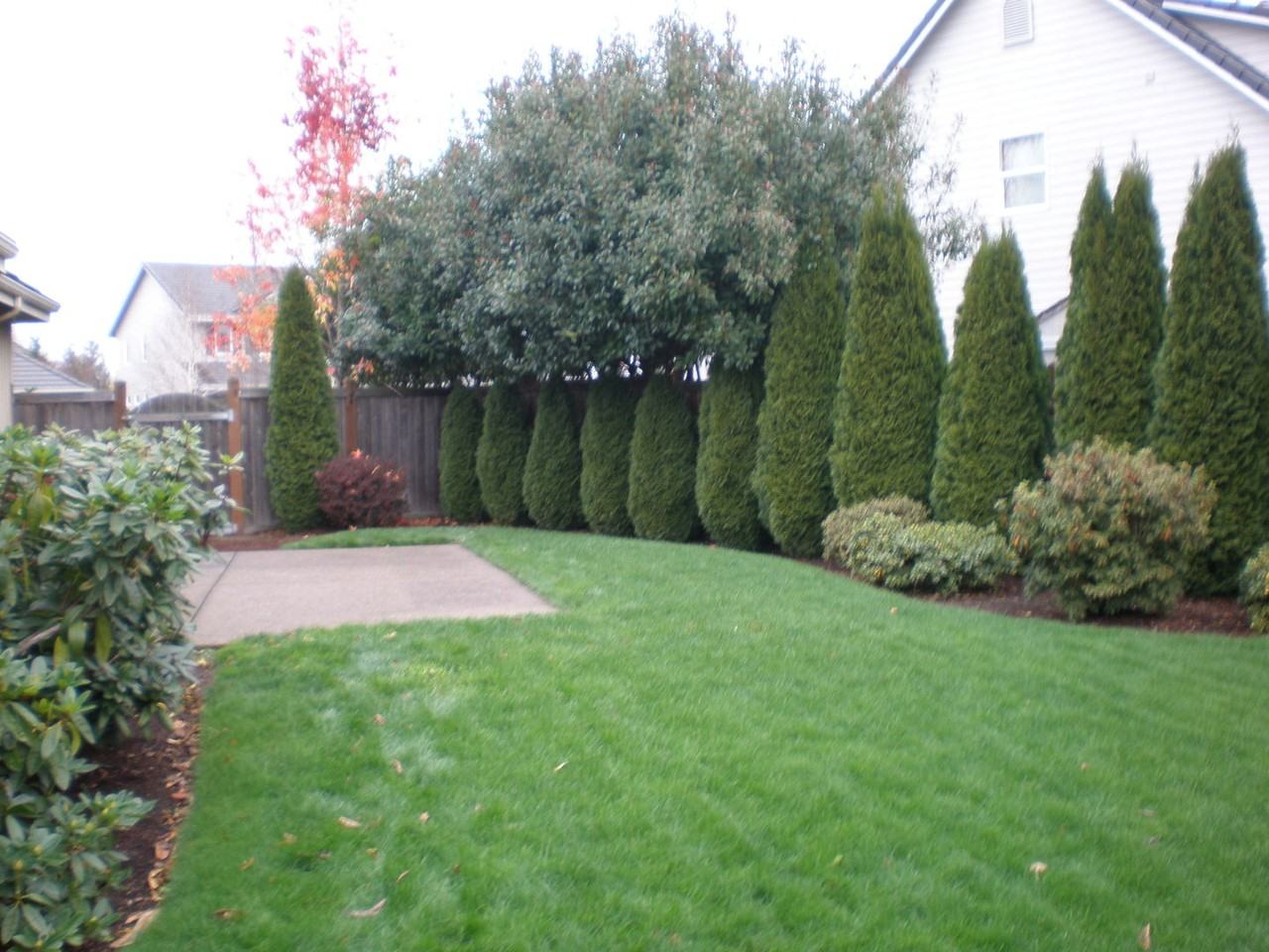 1445 Arcadia Dr - Photo 5 of 5