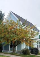 featured image of 1608 Crawford Way