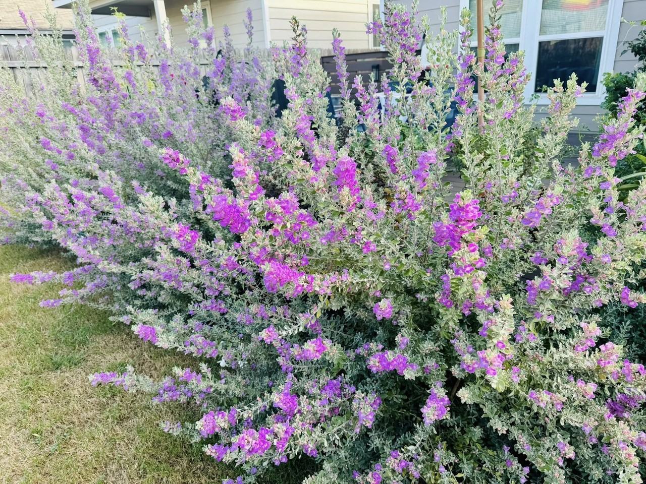 5035 Bay Breeze #NA - Photo 6 of 13