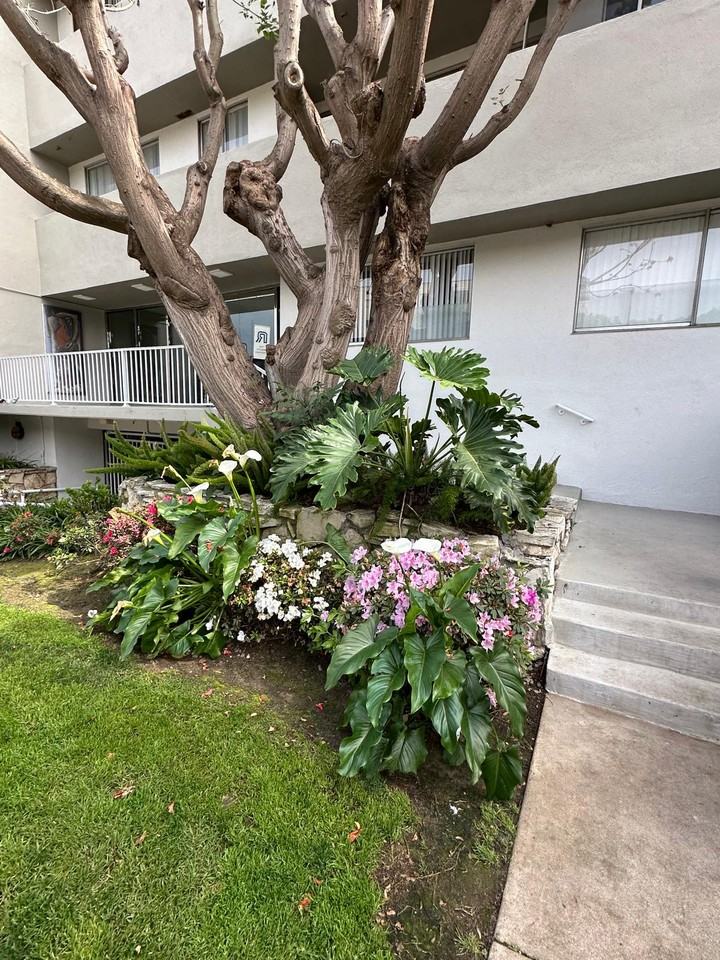 11692 Chenault St #208 - Photo 2 of 16