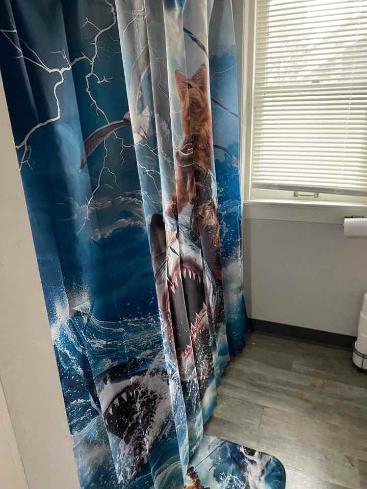 87 E 15th St #1 - Photo 7 of 17