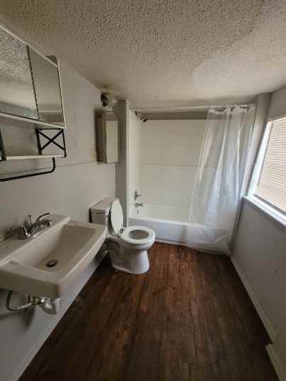 1009 W Mulberry Ave Apt B #B - Photo 4 of 5