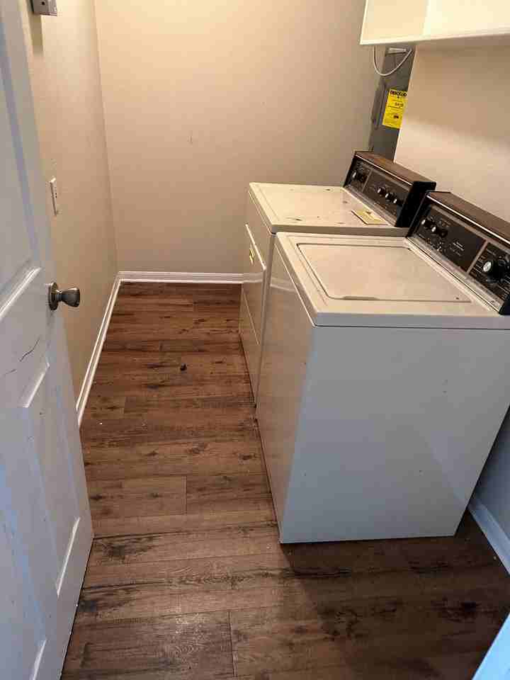 1704 Rock Hollow Loop - Photo 4 of 5