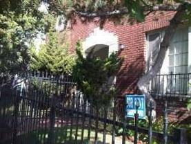 Kingsley - Photo 1 of 1