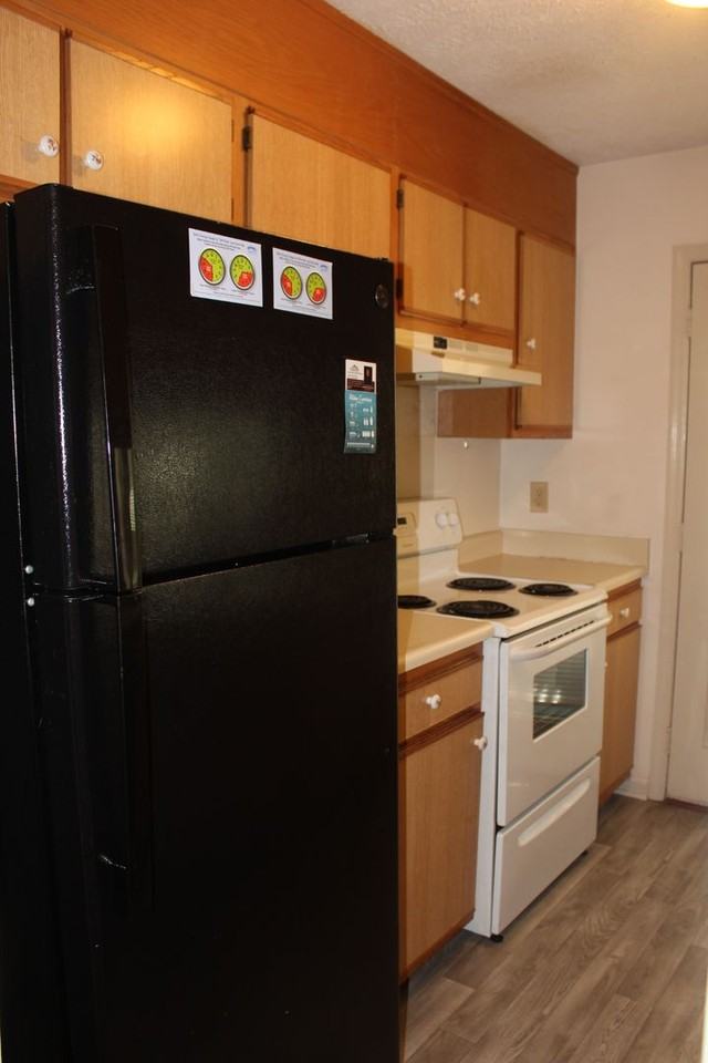 916 Glen Reilly Dr - Photo 4 of 18