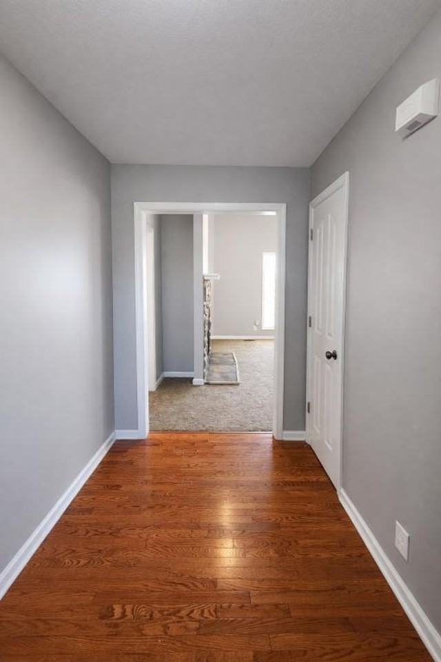 824 Ellie Nat Dr - Photo 2 of 50