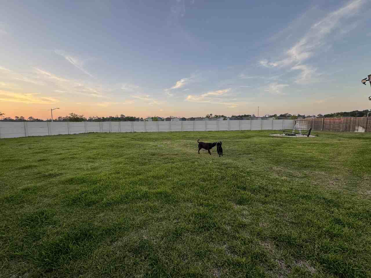 Cepagatti Dr & Iroma Dr - Photo 3 of 22