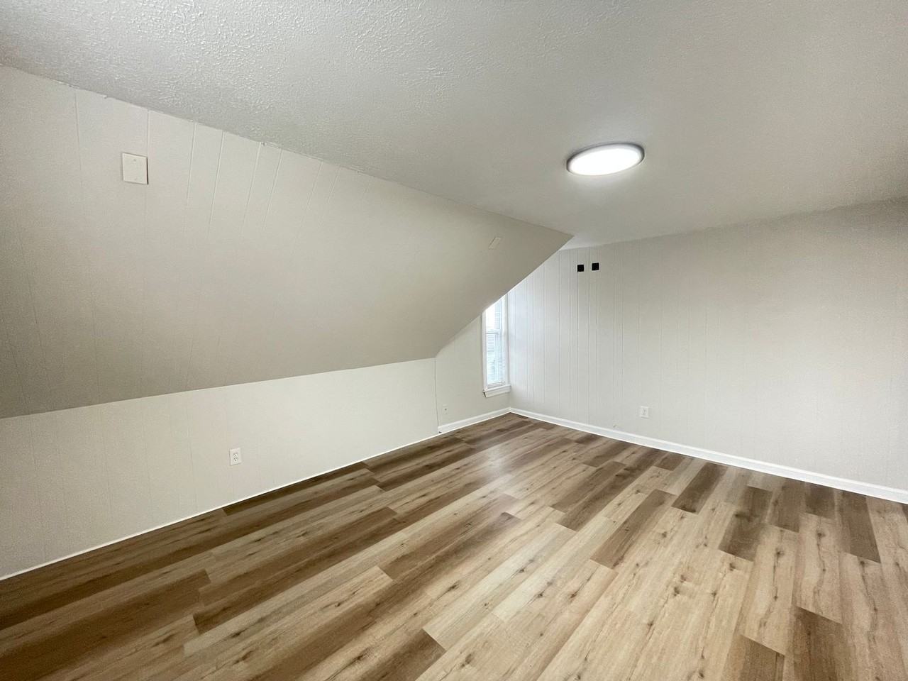 43 Ashland St #3 - Photo 7 of 19