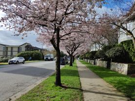 251 West 4th Street - Photo 1 of 1