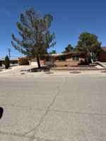 featured image of 10449 Chinaberry Dr