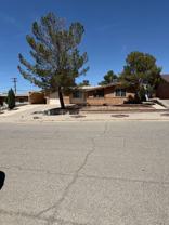 10449 Chinaberry Dr - Photo 1 of 1