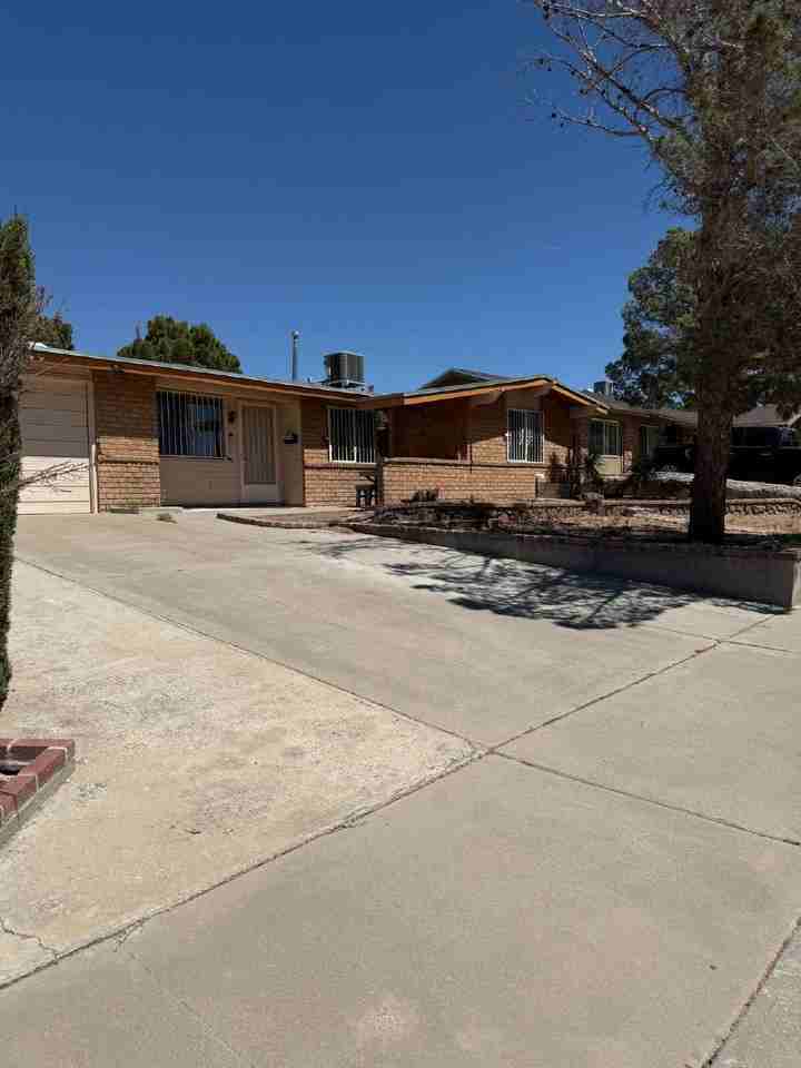 10449 Chinaberry Dr - Photo 4 of 36