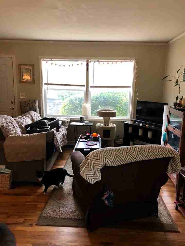 128 N Saratoga St - Photo 3 of 19