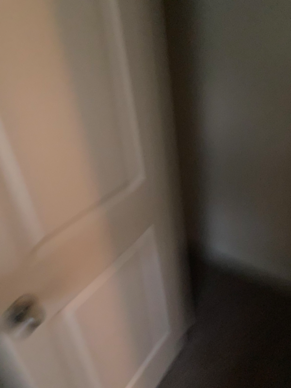 2370 Allman Dr - Photo 7 of 19