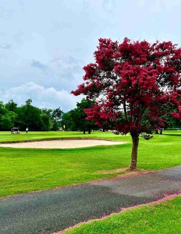 3810 Cogbill Rd - Photo 3 of 14