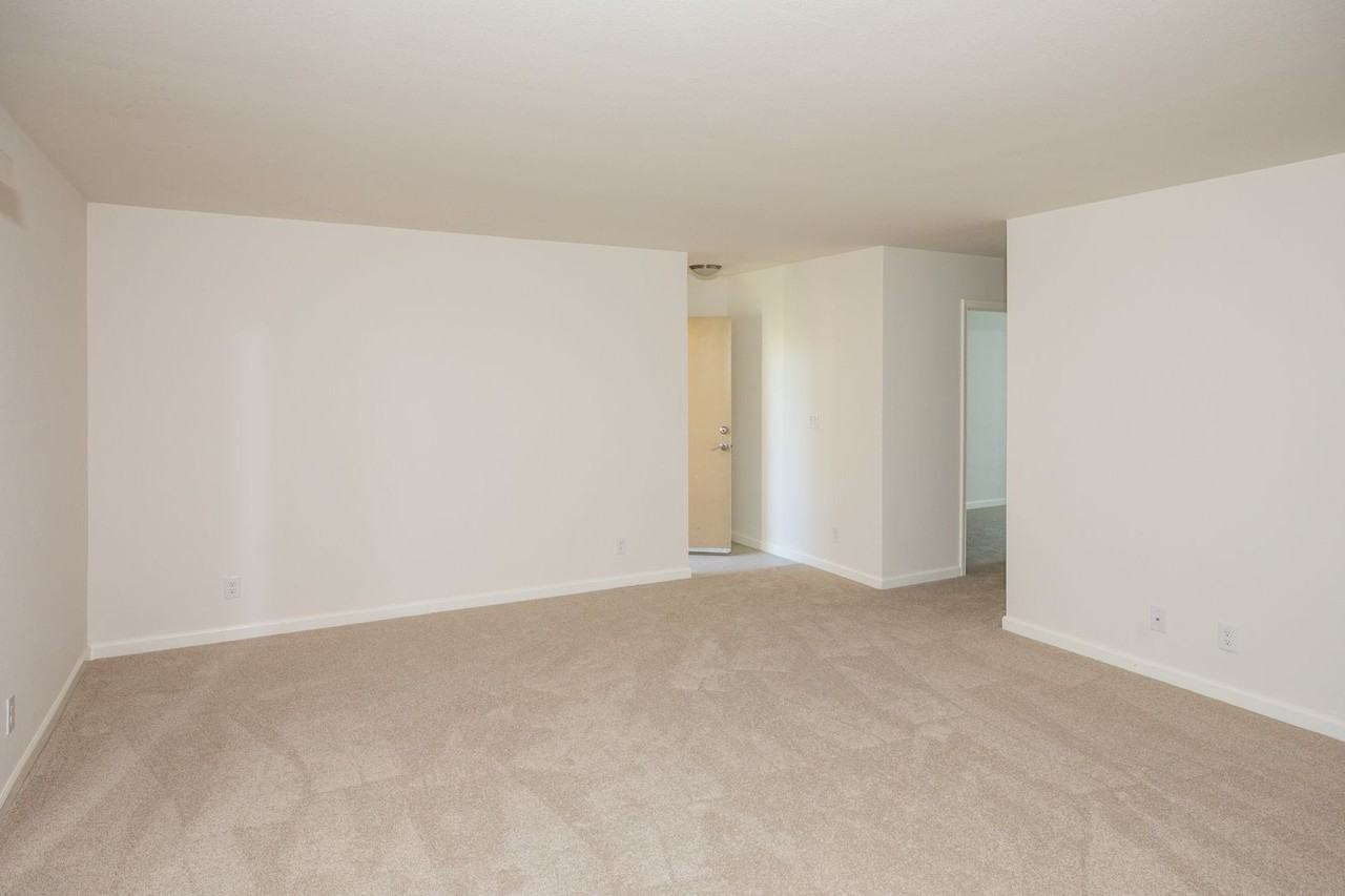 936 Kiely Blvd #D - Photo 4 of 18