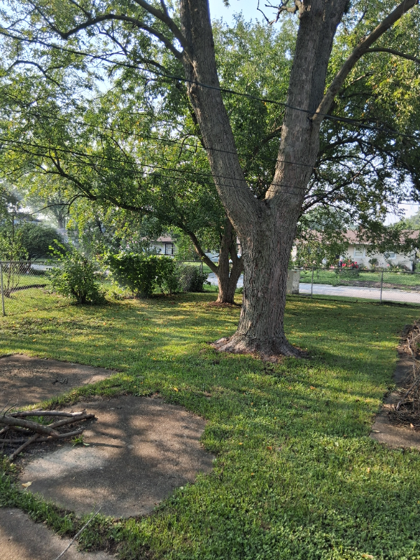 22332 Clyde Ave - Photo 2 of 10