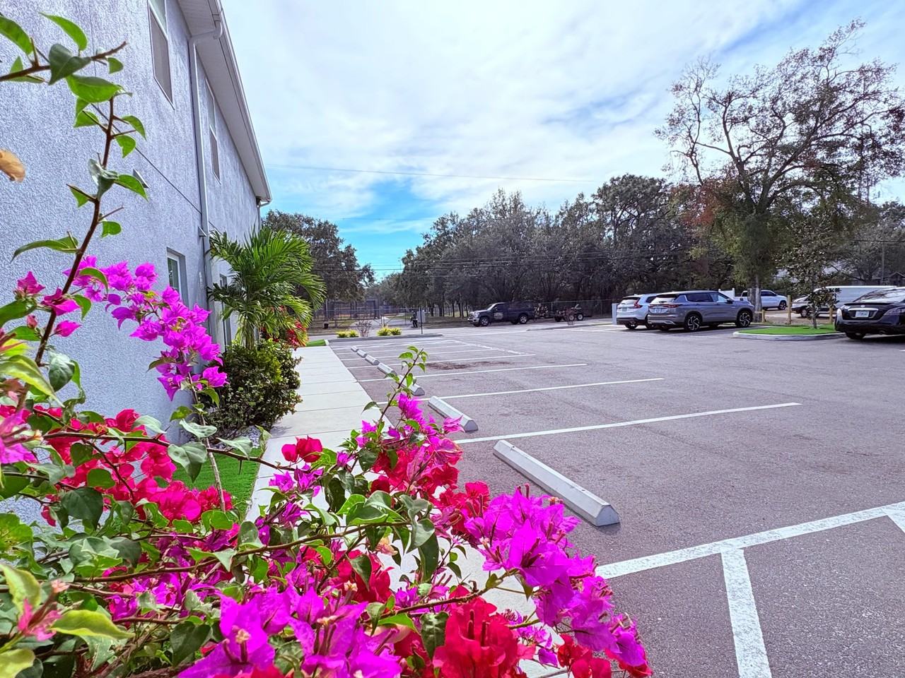 1801 W Sligh Ave #2101 - Photo 4 of 8