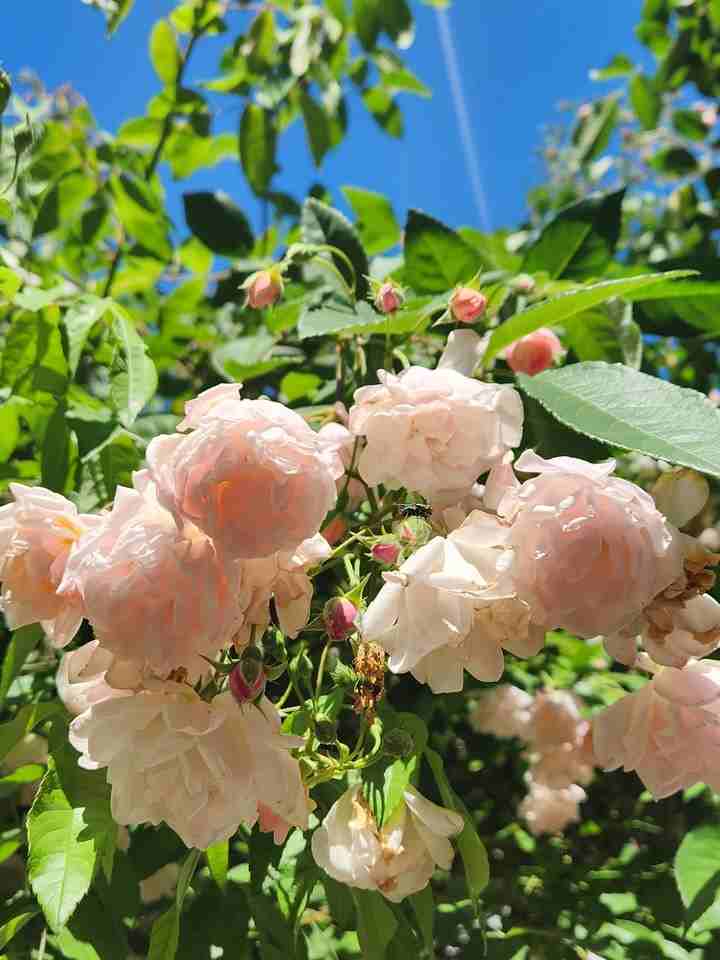 2827 D St - Photo 6 of 9