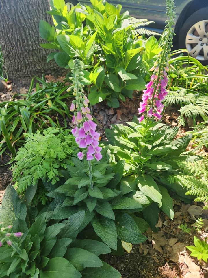 2827 D St - Photo 7 of 9