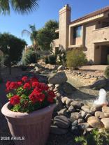 10115 E Mountain View Rd #2036 - Photo 1 of 1