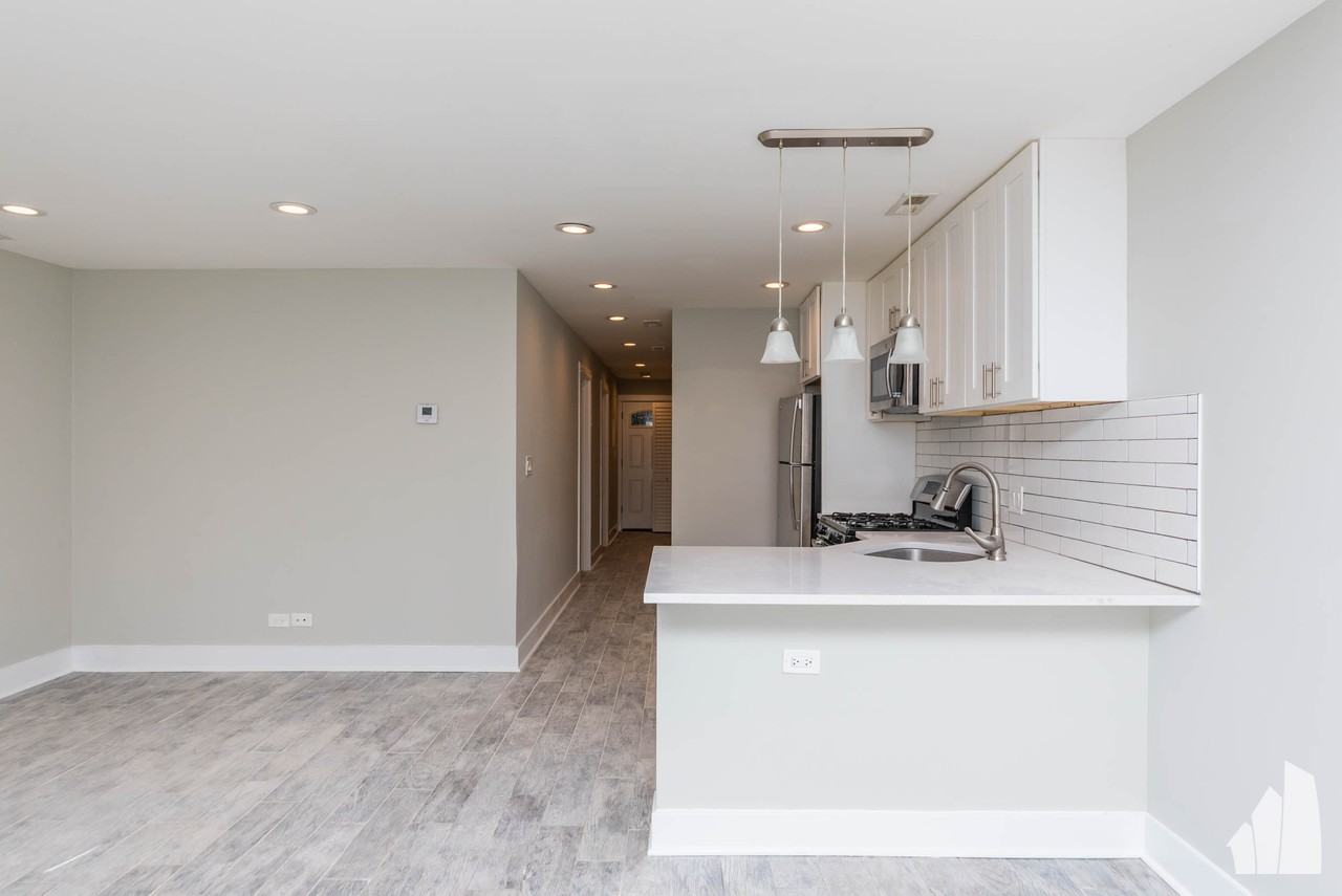 2437 N Ashland Ave #GDN - Photo 4 of 20