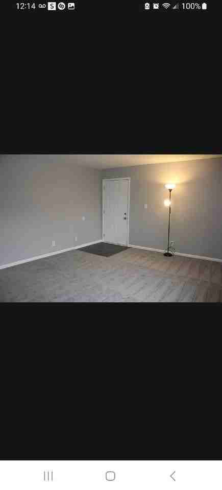 1314 Argo Ln Apt 4 - Photo 3 of 12