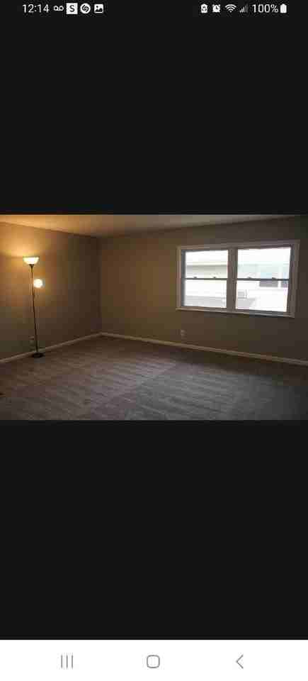 1314 Argo Ln Apt 4 - Photo 7 of 12