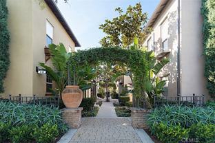 8 Iceberg Rose - Photo 1 of 1