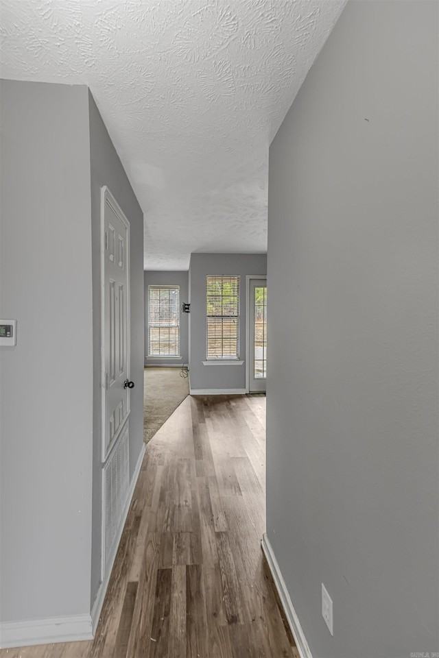 60 Wilhelmina Cv - Photo 3 of 18