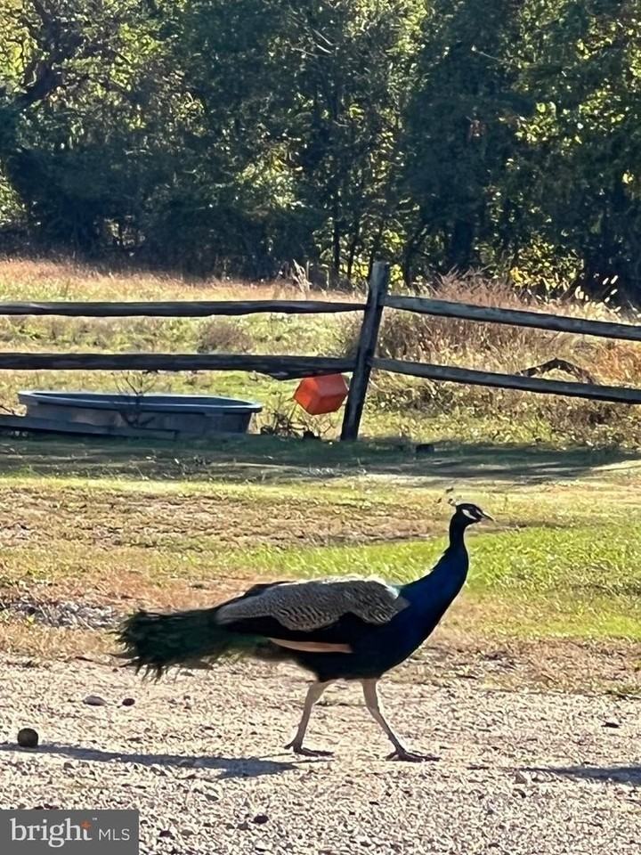 7606 Woodyard Rd - Photo 3 of 20