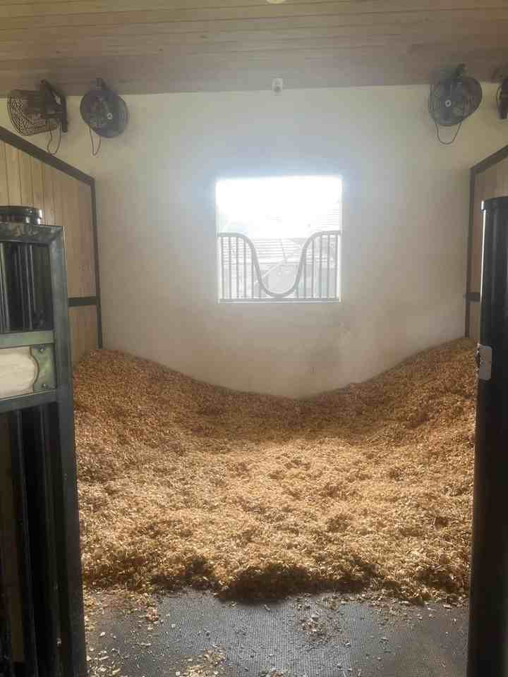 14322 Drafthorse Lane unit: Stalls - Photo 4 of 12