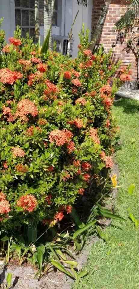 27 Nw 14th Ave - Photo 2 of 9