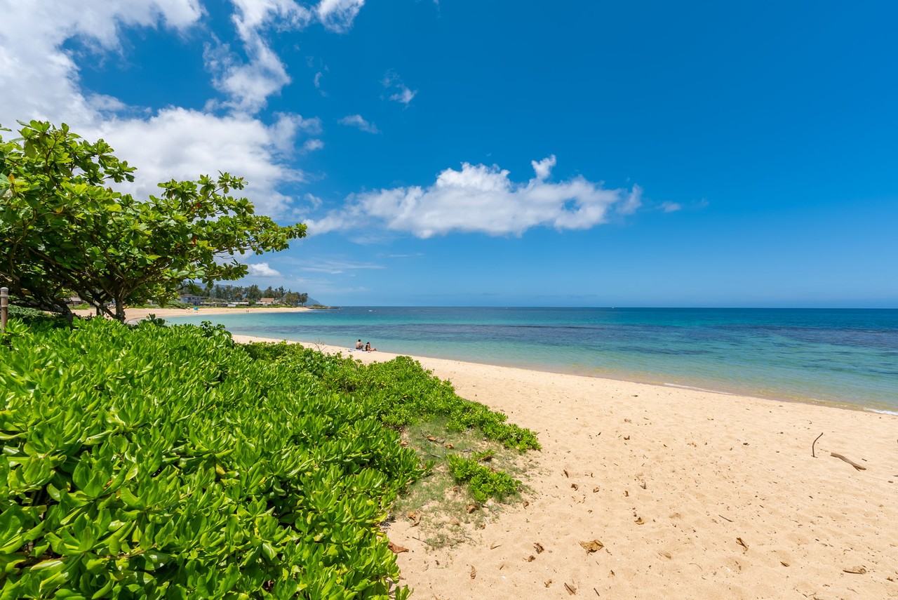 66-303 Haleiwa Rd #1 - Photo 2 of 30