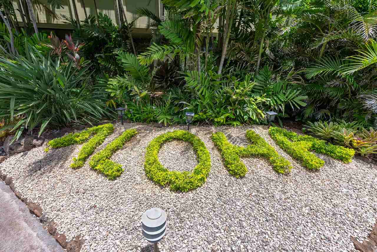 66-303 Haleiwa Rd #1 - Photo 5 of 30