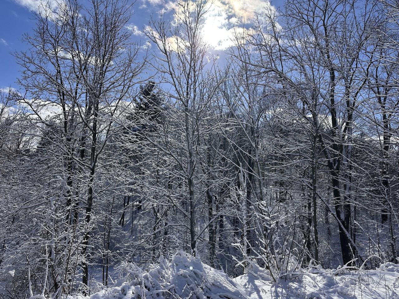 Anastasia Crescent & Viscount Rd #1 - Photo 4 of 7