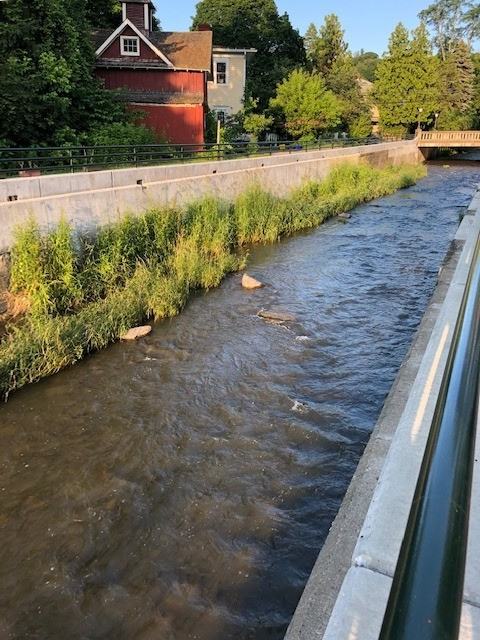 121 Cascadilla Ave #3 - Photo 3 of 8