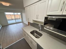 121 West 21st Street #109 - Photo 1 of 1