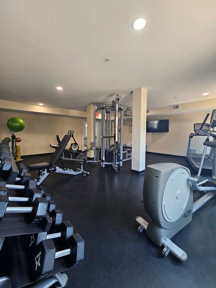 The Residences at 843 Oak - Photo 6 of 20