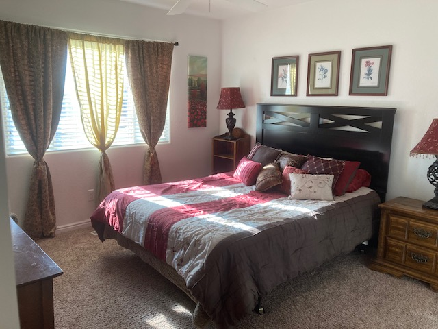 1807 Desert Dawn Dr - Photo 7 of 13